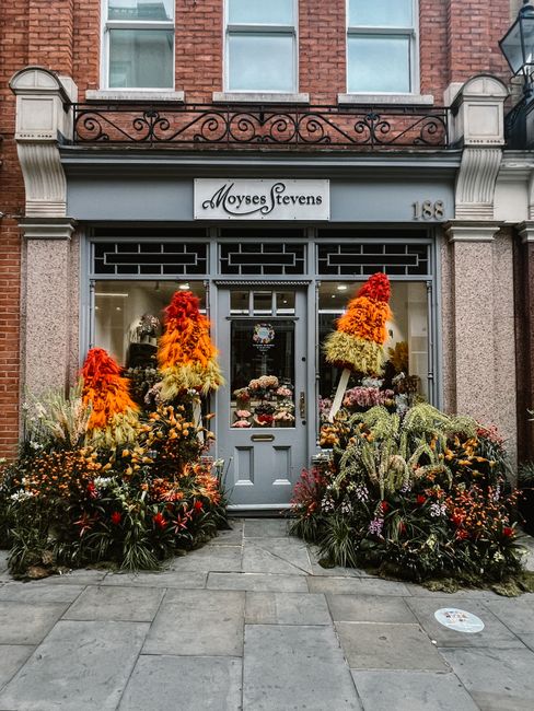 The storefront of Moyses Stevens, a floral shop, features an array of vibrant autumnal flower arrangements and plants displayed outside the entrance. Tall, conical bouquets with orange, red, and yello
